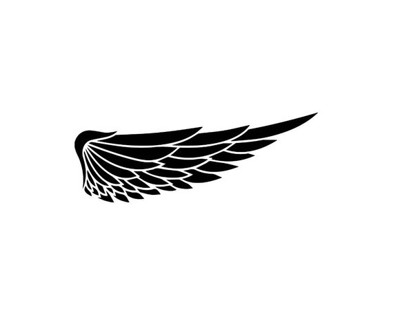 570x456 Wing Feather Vector Bird Symbol Abstract Angel Sign Design Etsy