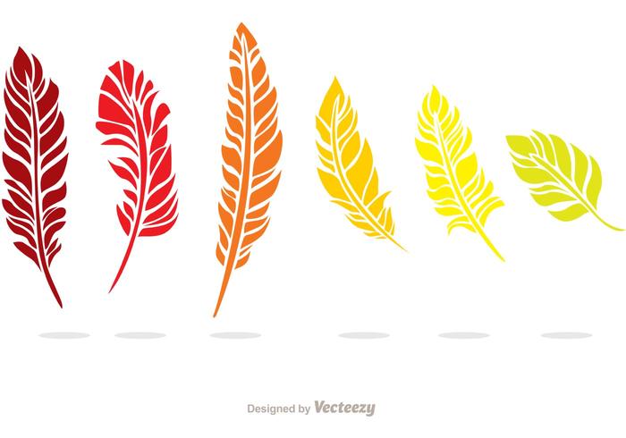 700x490 Colorful Feather Vector Pack