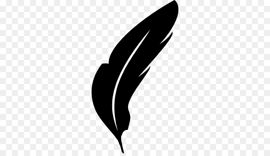 900x520 Computer Icons Feather