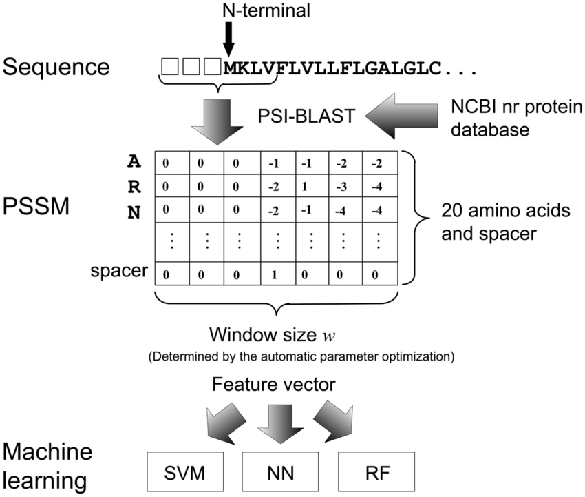 850x721 Feature Extraction And Machine Learning. We Generate A Pssm