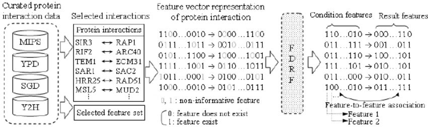 850x254 Representation Of Protein Interaction By Feature Vectors. Each