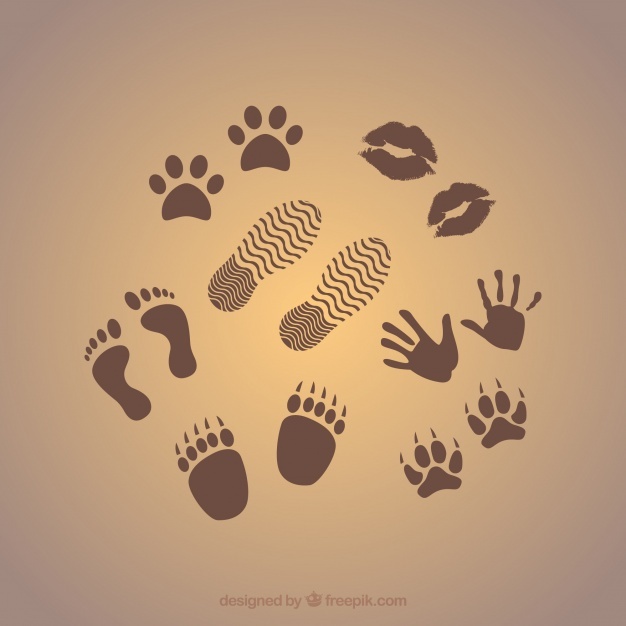 626x626 Feet Vectors, Photos And Psd Files Free Download