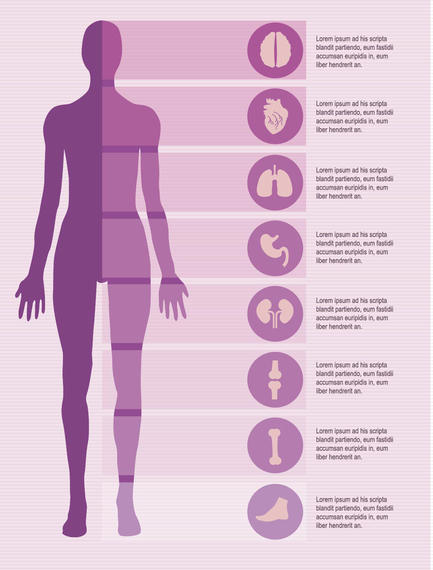 433x570 Female Body Infographics Elements
