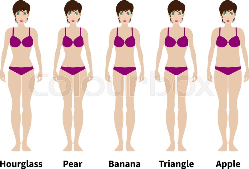 800x542 Vector Illustration Of Five Types Of Female Figures. Women