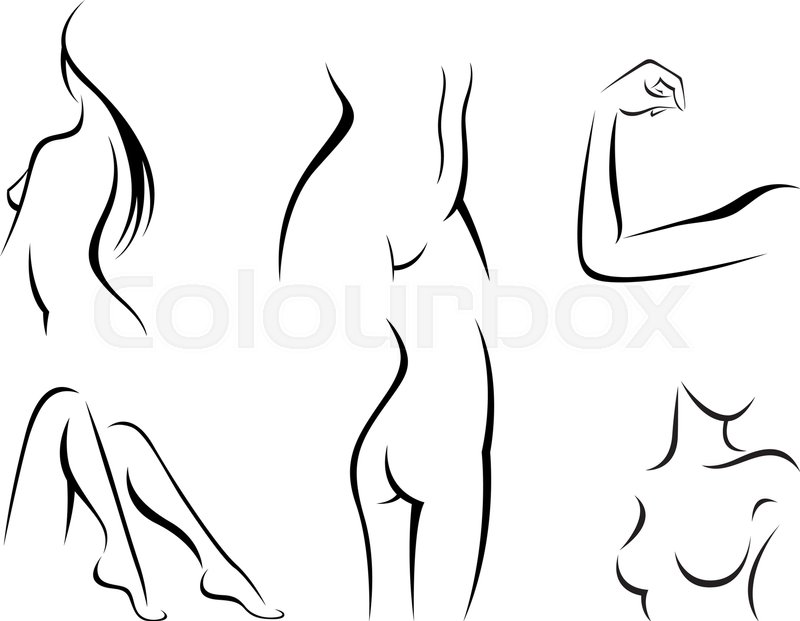 800x621 Vector Illustration Of Set Of Stylized Female Body Parts Stock