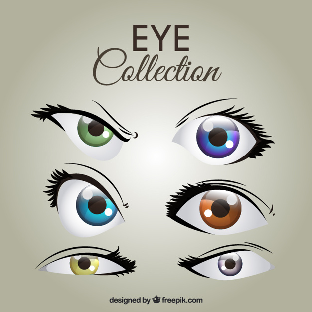626x626 Collection Of Colorful Female Eyes Vector Free Download