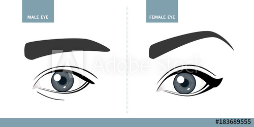 500x250 Male And Female Eyes. Vector Illustration. Template For Makeup Or