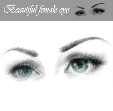 376x368 Beautiful Eyes Free Vector Download (10,592 Free Vector) For