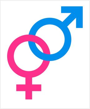 289x350 You Searched For Pink And Blue Male And Female Icons