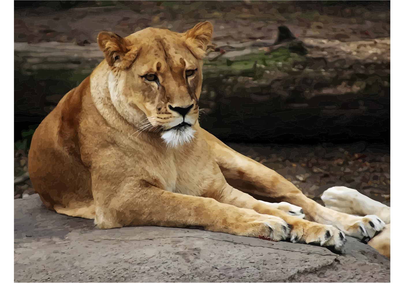 1400x980 Female Lion Free Vector Art