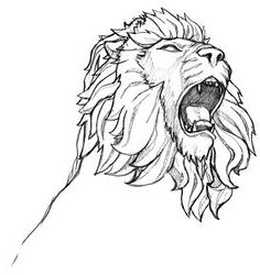 Female Lion Vector at GetDrawings | Free download