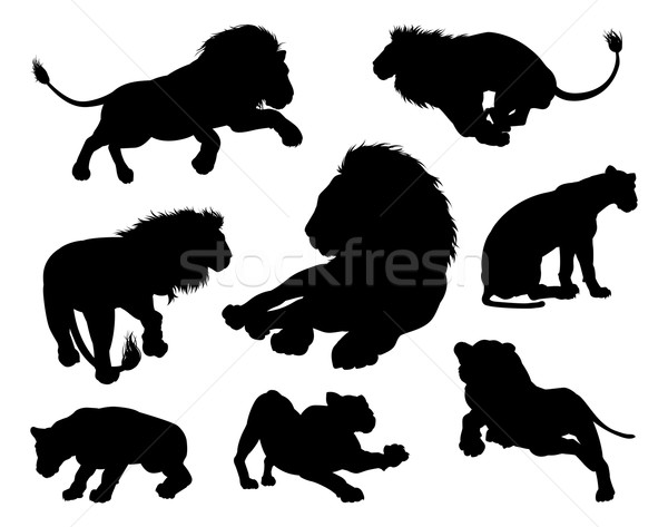 600x473 Lions Silhouettes Vector Illustration Christos Georghiou