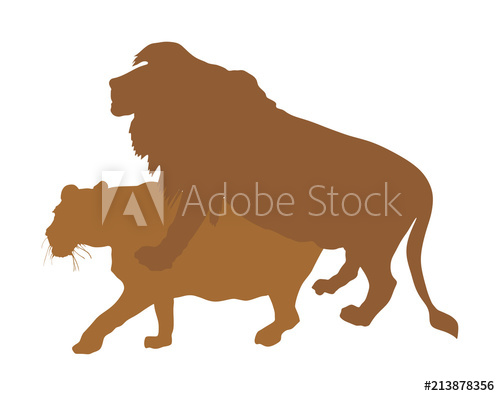 500x396 Sex Lion Vector Silhouette Illustration Isolated On White
