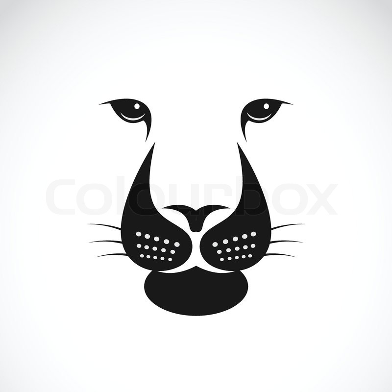 800x800 Vector Image Of An Lions Face On White Background Stock Vector