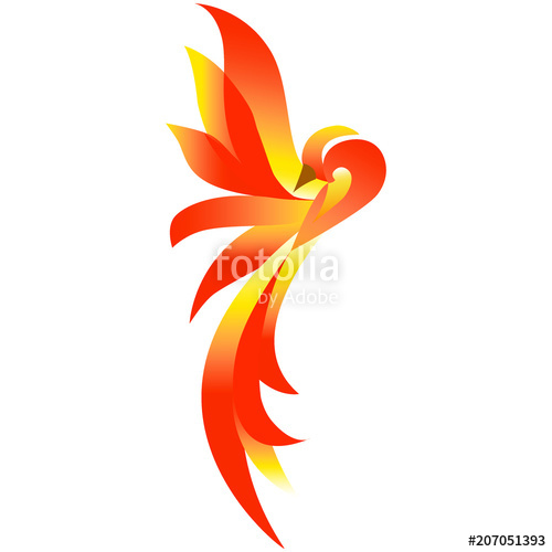 500x500 Fenix Naranja Stock Image And Royalty Free Vector Files On