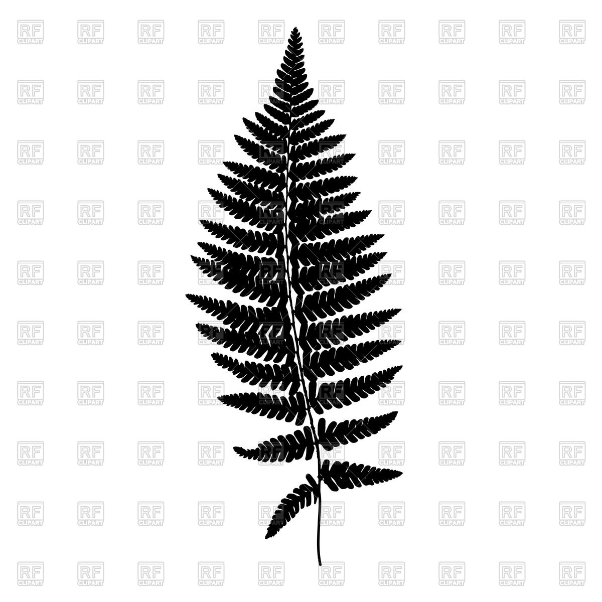 1200x1200 Fern Leaf Black Silhouette Vector Image Vector Artwork Of Plants