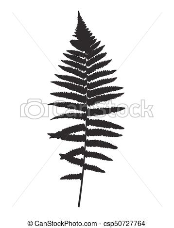 358x470 Fern Leaf Silhouette Vector Background Illustration Eps10.