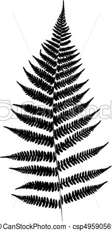 228x470 Fern Leaf Silhouette. Vector Illustration.