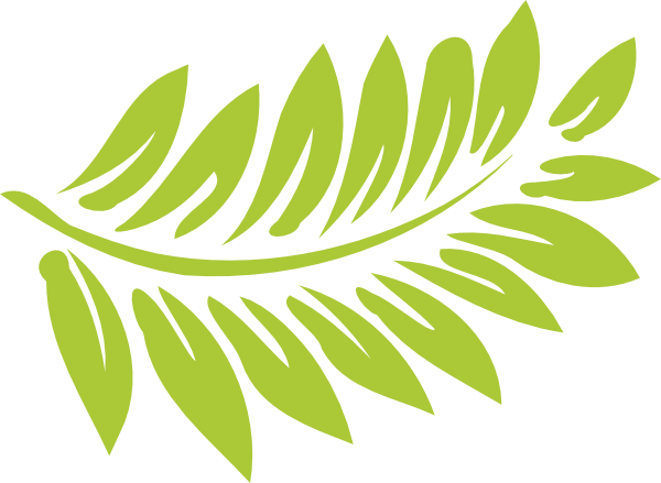 600x439 Leaves Clipart Ferns