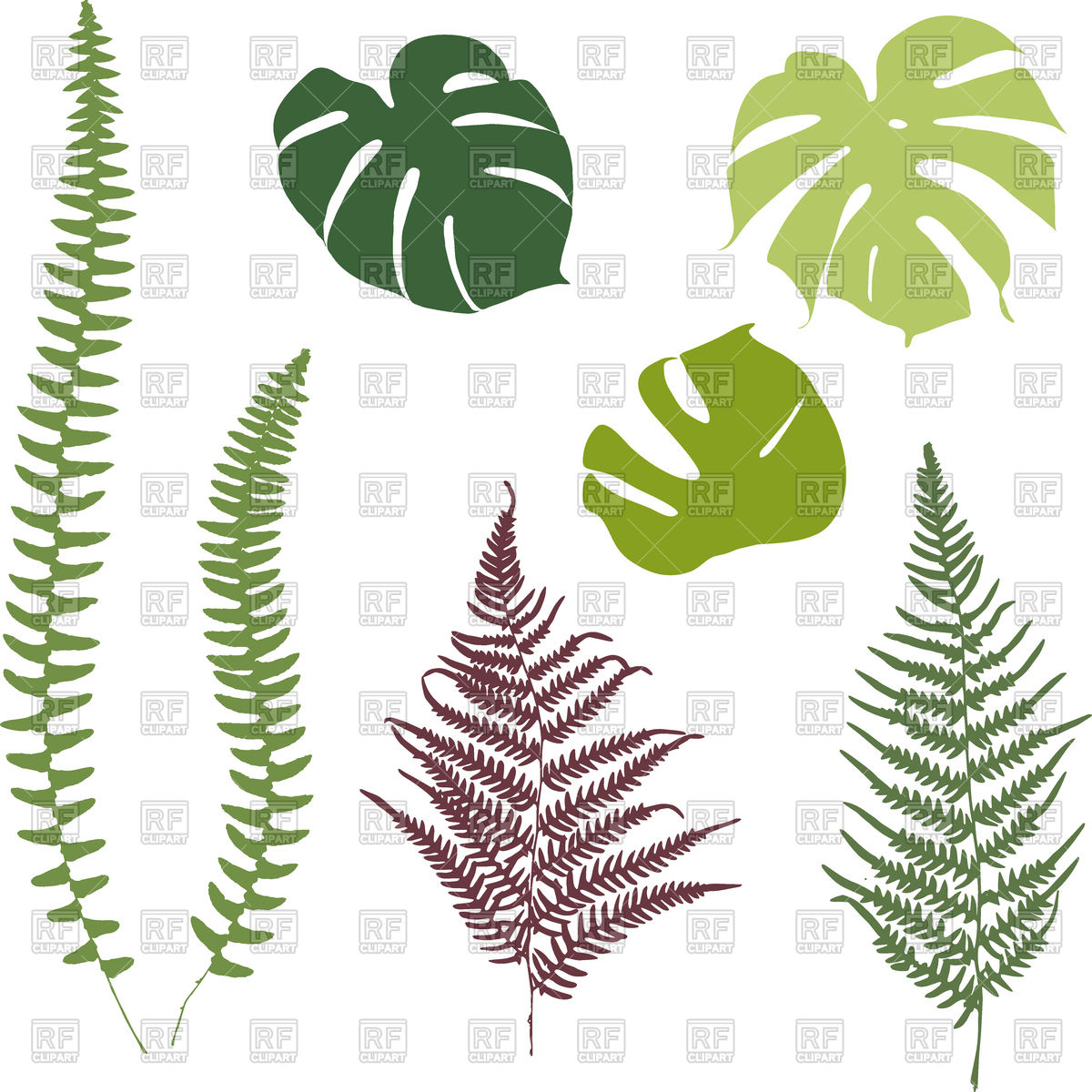 1200x1200 Silhouettes Of Fern And Monsters Leaves Vector Image Vector