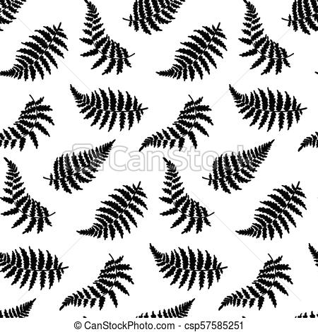 450x470 Vector Pattern Illustration Of Fern Leaf. Vector Botanical