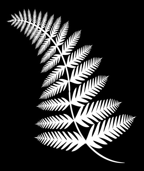 508x600 Fern Leaf Vector