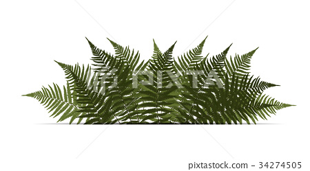 450x249 Fern Leaf Vector Background Illustration