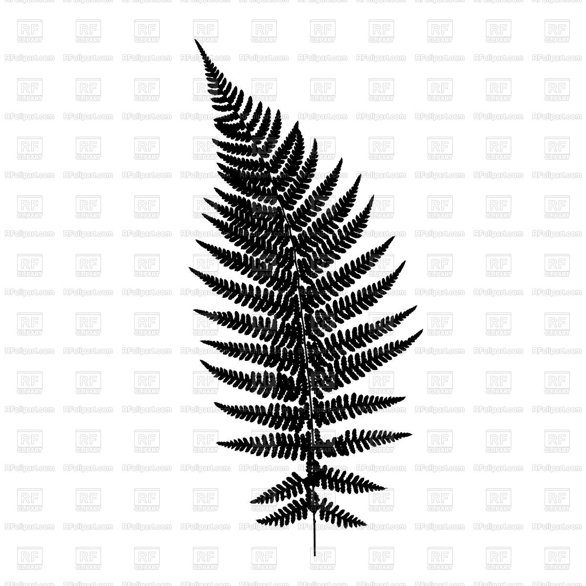 1200x1200 Fern Leaf Silhouette Vector Image Vector Artwork Of Plants And