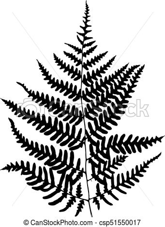 341x470 Fern Leaf Silhouette. Vector Illustration.