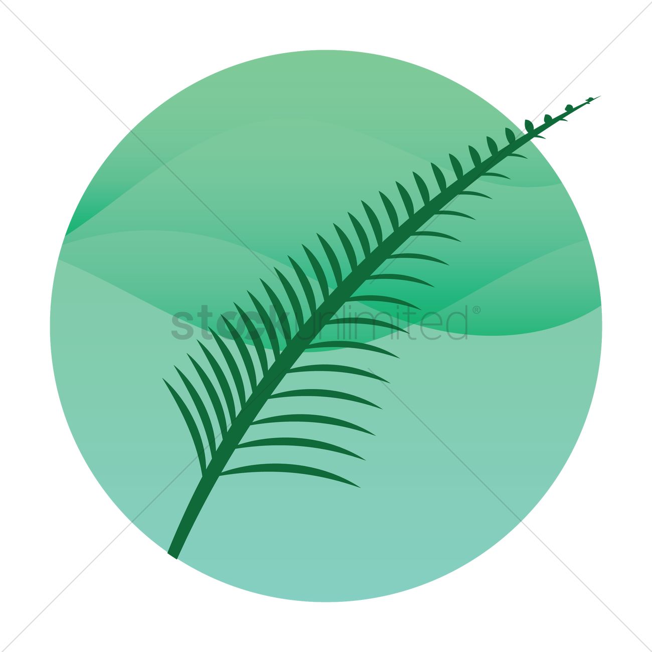 1300x1300 Silver Fern Vector Image