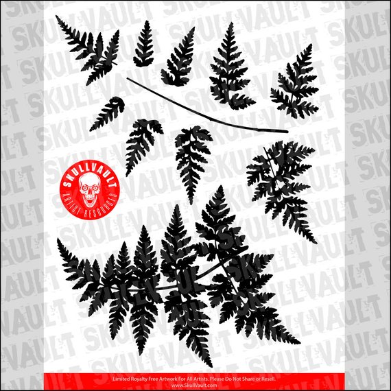 570x570 Fern Vector Silhouettes Etsy