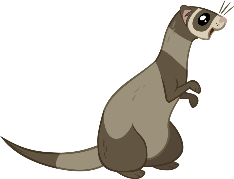 900x686 Ferret Vector By The Intelligentleman