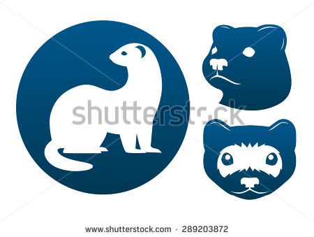 450x339 Ferret Blue Vector Signs On The White Background.