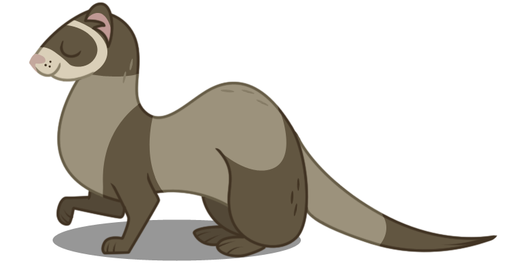 740x401 Ferret Vector By Dragonchaser123