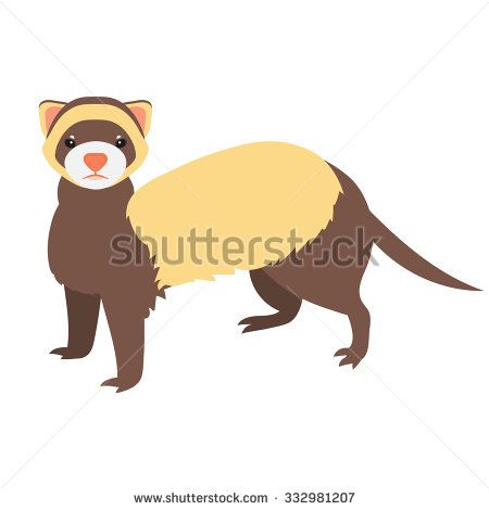 450x470 Flat Ferret Illustration