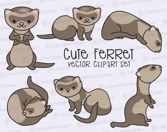 570x452 Premium Vector Clipart Kawaii Ferret Cute Ferrets Clipart Etsy