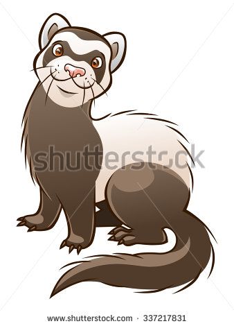 338x470 Vector Cartoon Funny Ferret Isolated On The White Background