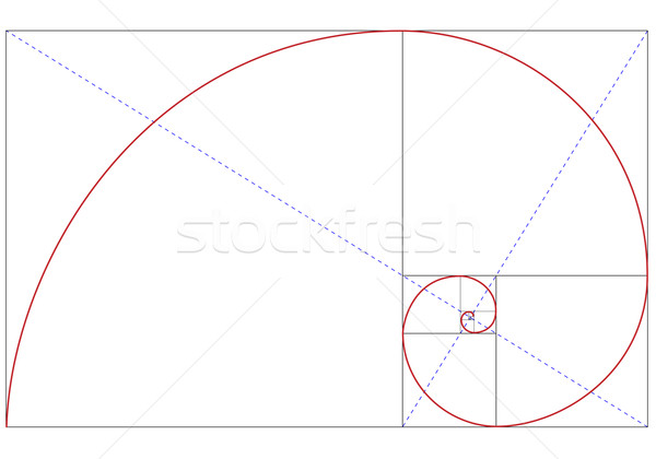 600x420 Fibonacci Golden Ratio Vector Illustration Beaubelle ( 470259