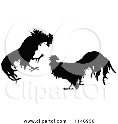 450x470 Fighting Rooster Vector