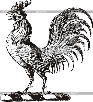364x400 Rooster Stock Vector Graphics Cliparto