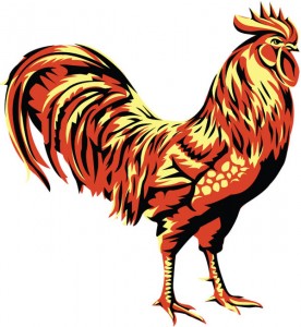 276x300 Searching For Cocks