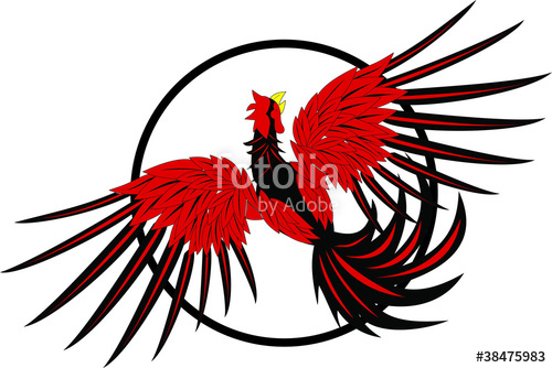 500x334 Red Rooster Fight Stock Image And Royalty Free Vector Files On