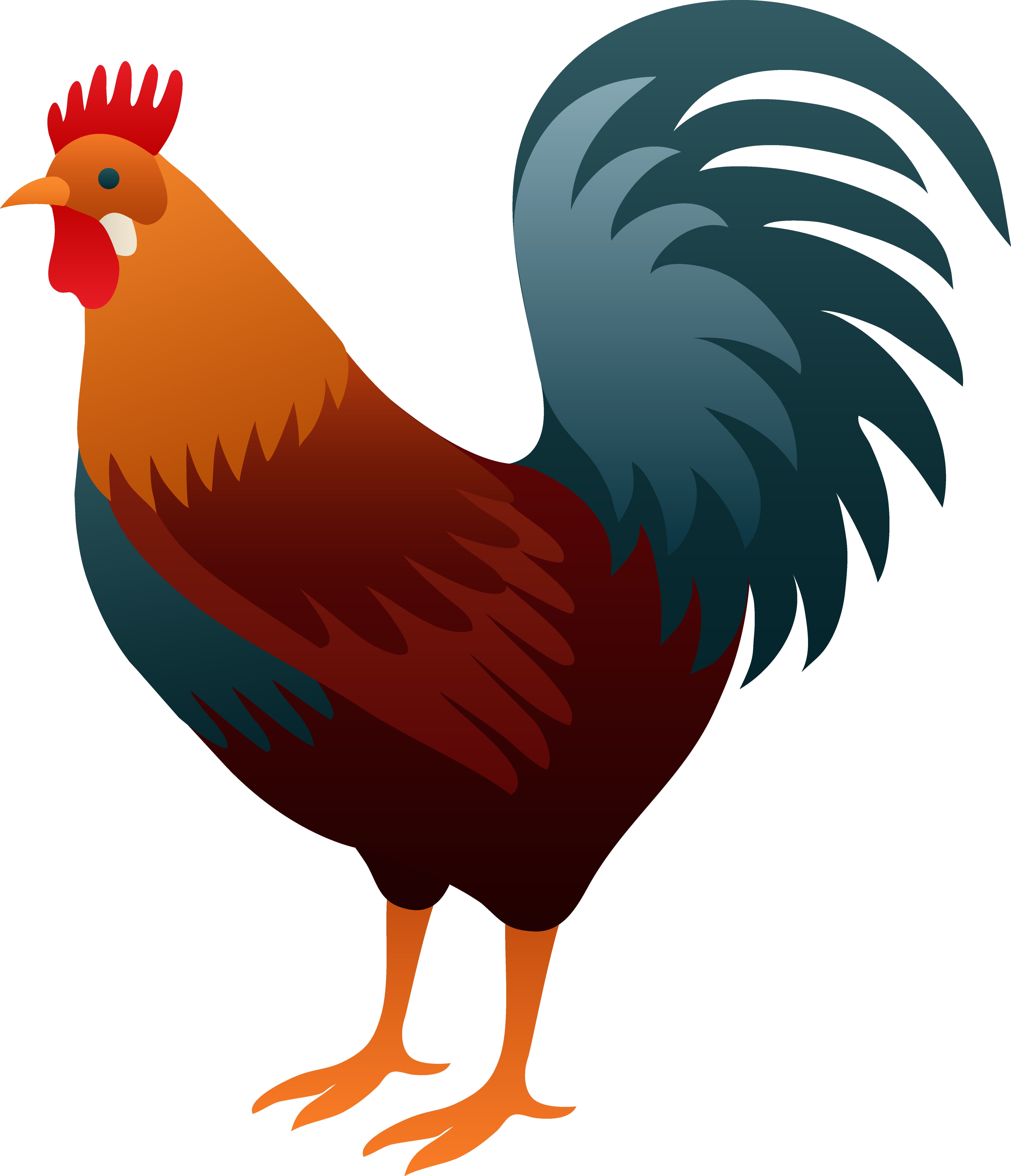 5531x6434 Collection Of Free Vector Illustration Rooster. Download On Ubisafe