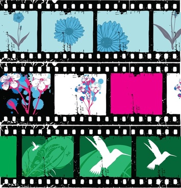 355x368 Floral Film Strips Vector Png Images, Backgrounds And Vectors For