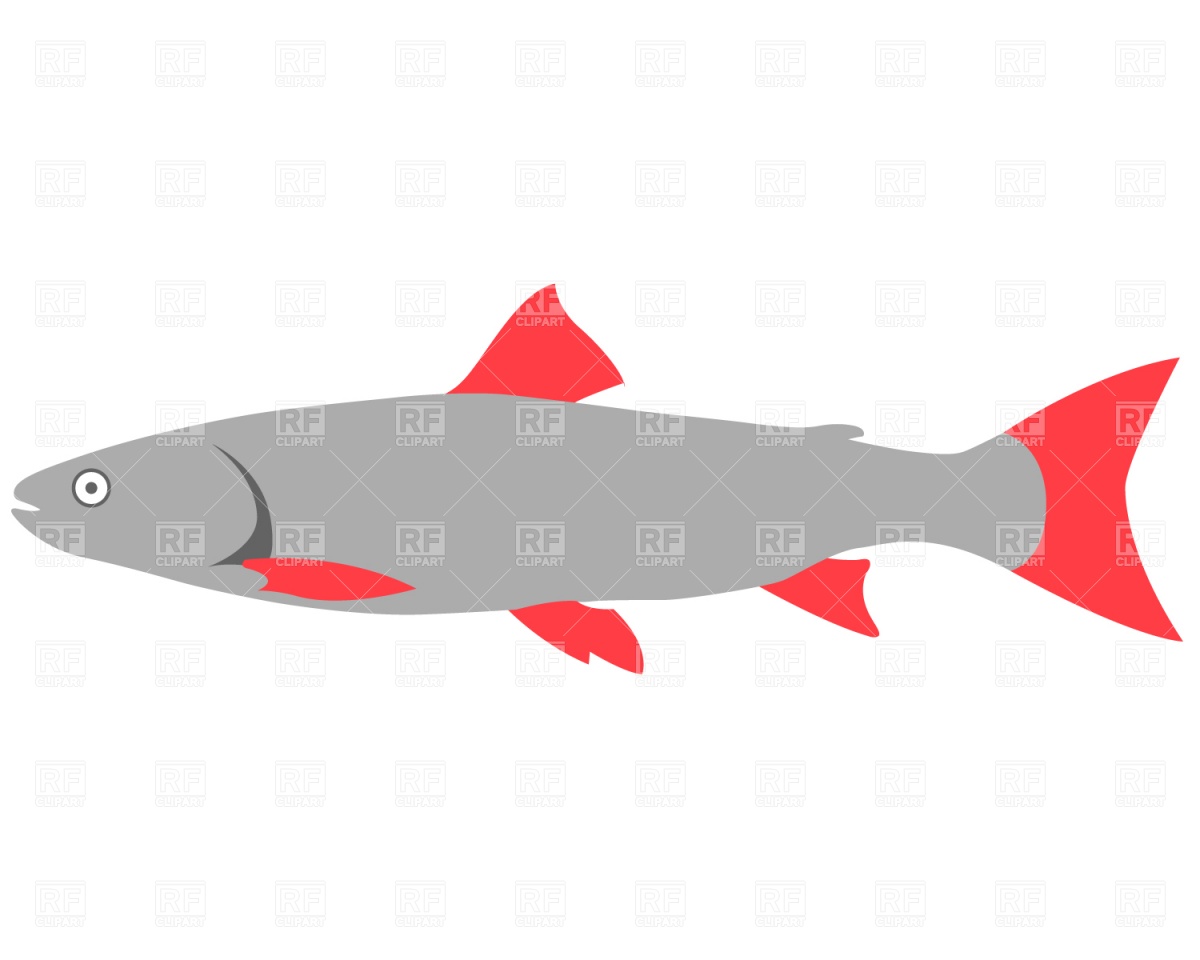 1200x960 Fish With Red Fins Vector Image Vector Artwork Of Plants And
