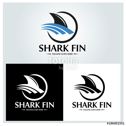 500x500 Shark Fin Logo Design Template. Vector Illustration Stock Image