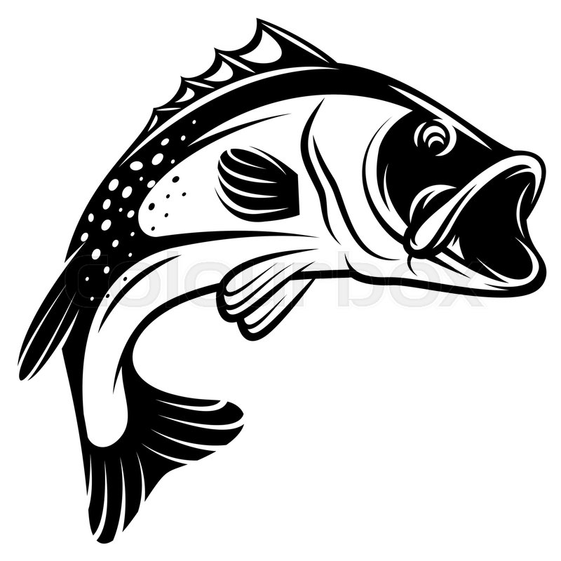 800x800 Vector Monochrome Illustration Of A Bass With Fins, Tail And Open