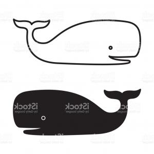 300x300 Whale Vector Illustration Dolphin Shark Tail Fin Character Cartoon