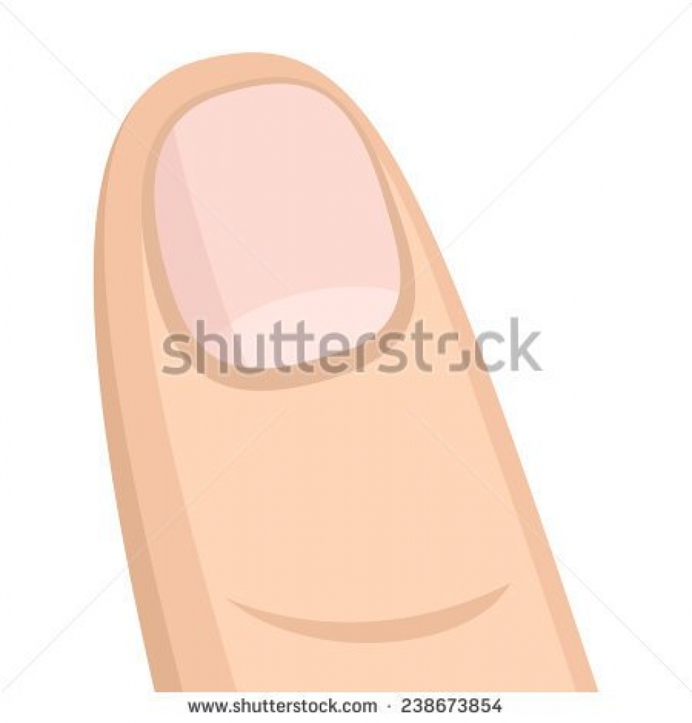 Fingernail Vector at GetDrawings | Free download