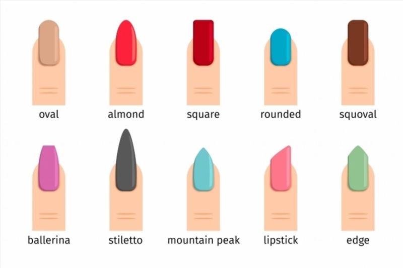 800x533 Nail Shape Icons. Types Of Fashion Nail Shapes. Vector